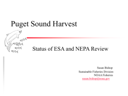 Puget Sound Harvest Status of ESA and NEPA Review Susan Bishop