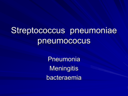 Streptococcus  pneumoniae pneumococus Pneumonia Meningitis