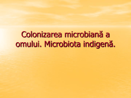 Colonizarea microbiană a omului. Microbiota indigenă.
