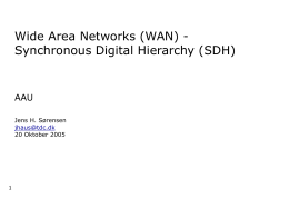 Wide Area Networks (WAN) - Synchronous Digital Hierarchy (SDH) AAU 1