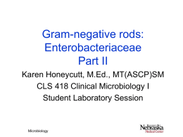 Gram-negative rods: Enterobacteriaceae Part II Karen Honeycutt, M.Ed., MT(ASCP)SM