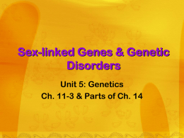 Sex-linked Genes &amp; Genetic Disorders Unit 5: Genetics
