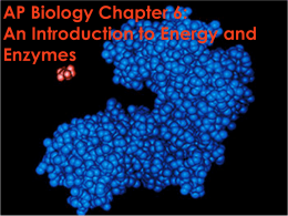 AP Biology Chapter 6: An Introduction to Energy and Enzymes