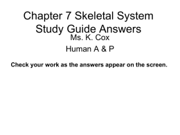 Chapter 7 Skeletal System Study Guide Answers Ms. K. Cox