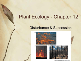 Plant Ecology - Chapter 12 Disturbance &amp; Succession