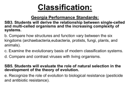 Classification: Georgia Performance Standards: