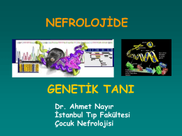 NEFROLOJİDE GENETİK TANI Dr. Ahmet Nayır İstanbul Tıp Fakültesi