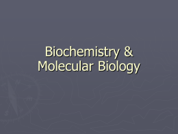 Biochemistry &amp; Molecular Biology