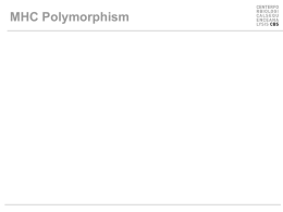 MHC Polymorphism