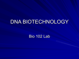 DNA BIOTECHNOLOGY Bio 102 Lab