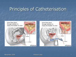 Principles of Catheterisation November 2004 Richard Lake 1