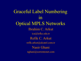 Graceful Label Numbering in Optical MPLS Networks Ibrahim C. Arkut