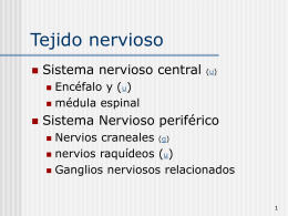 Tejido nervioso Sistema nervioso central Sistema Nervioso periférico Encéfalo y (