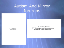 Autism And Mirror Neurons QuickTime™ and a TIFF (Uncompressed) decompressor
