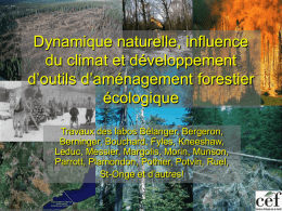 Dynamique naturelle, influence du climat et développement d’outils d’aménagement forestier écologique