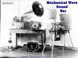 Mechanical Wave Sound Ear BIOPHYSICS