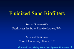 Fluidized-Sand Biofilters