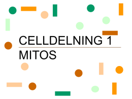CELLDELNING 1 MITOS