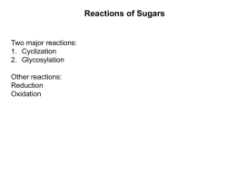 Reactions of Sugars Two major reactions: 1. Cyclization 2. Glycosylation