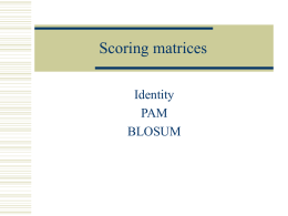 Scoring matrices Identity PAM BLOSUM