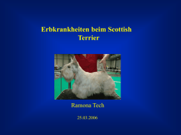 Erbkrankheiten beim Scottish Terrier Ramona Tech 25.03.2006