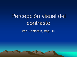 Percepción visual del contraste Ver Goldstein, cap. 10