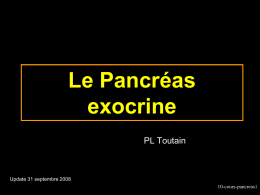 Le Pancréas exocrine PL Toutain Update 31 septembre 2008