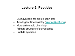 Lecture 5: Peptides