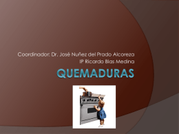 Coordinador: Dr. José Nuñez del Prado Alcoreza IP Ricardo Blas Medina