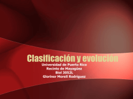 Clasificación y evolución Universidad de Puerto Rico Recinto de Mayagüez Biol 3052L