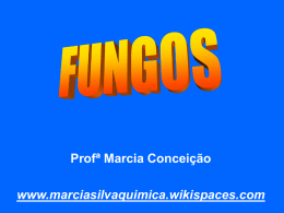 Profª Marcia Conceição www.marciasilvaquimica.wikispaces.com