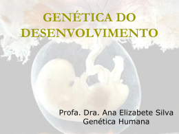 GENÉTICA DO DESENVOLVIMENTO Profa. Dra. Ana Elizabete Silva Genética Humana