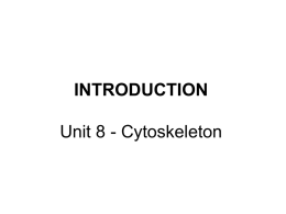 INTRODUCTION Unit 8 - Cytoskeleton