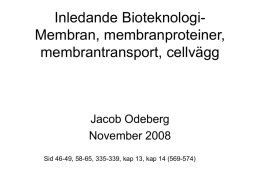 Inledande Bioteknologi- Membran, membranproteiner, membrantransport, cellvägg Jacob Odeberg