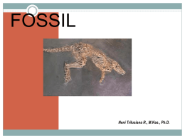 FOSSIL Neni Trilusiana R., M.Kes., Ph.D.