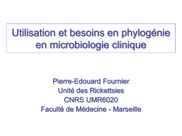 Utilisation et besoins en phylogénie en microbiologie clinique Pierre-Edouard Fournier Unité des Rickettsies