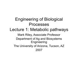 Engineering of Biological Processes Lecture 1: Metabolic pathways