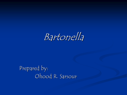 Bartonella Prepared by: Ohood R. Sarsour