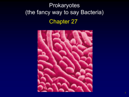 Prokaryotes (the fancy way to say Bacteria) Chapter 27 1
