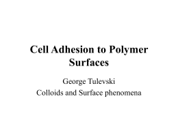 Cell Adhesion to Polymer Surfaces George Tulevski Colloids and Surface phenomena
