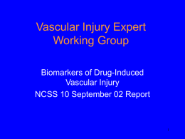 Vascular Injury Expert Working Group Biomarkers of Drug-Induced Vascular Injury