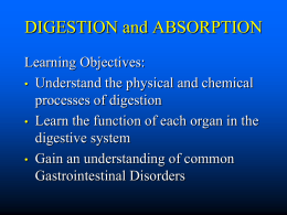 DIGESTION and ABSORPTION
