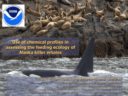 Use of chemical profiles in assessing the feeding ecology of
