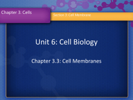 Unit 6: Cell Biology Chapter 3.3: Cell Membranes Chapter 3: Cells