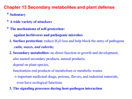 Chapter 13 Secondary metabolites and plant defense *
