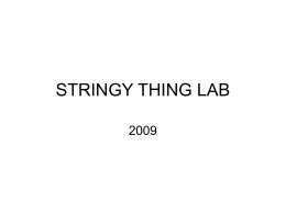 STRINGY THING LAB 2009
