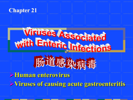  Human enterovirus Viruses of causing acute gastroenteritis Chapter 21