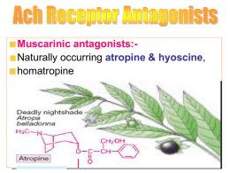 Muscarinic antagonists:- Naturally occurring , homatropine