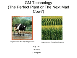 GM Technology (The Perfect Plant or The Next Mad Cow?) Egr 108