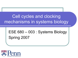 Cell cycles and clocking mechanisms in systems biology ESE 680